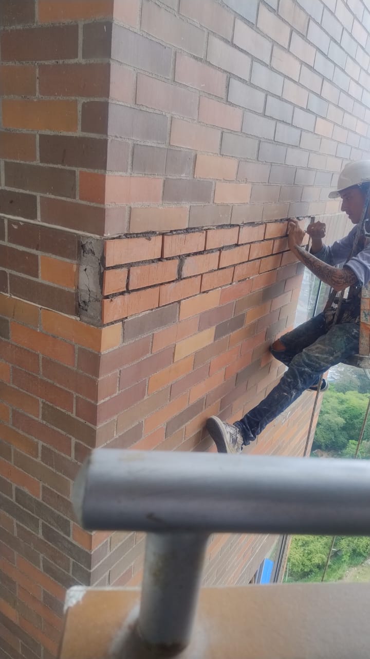 Proyecto BASARI Ingeniería