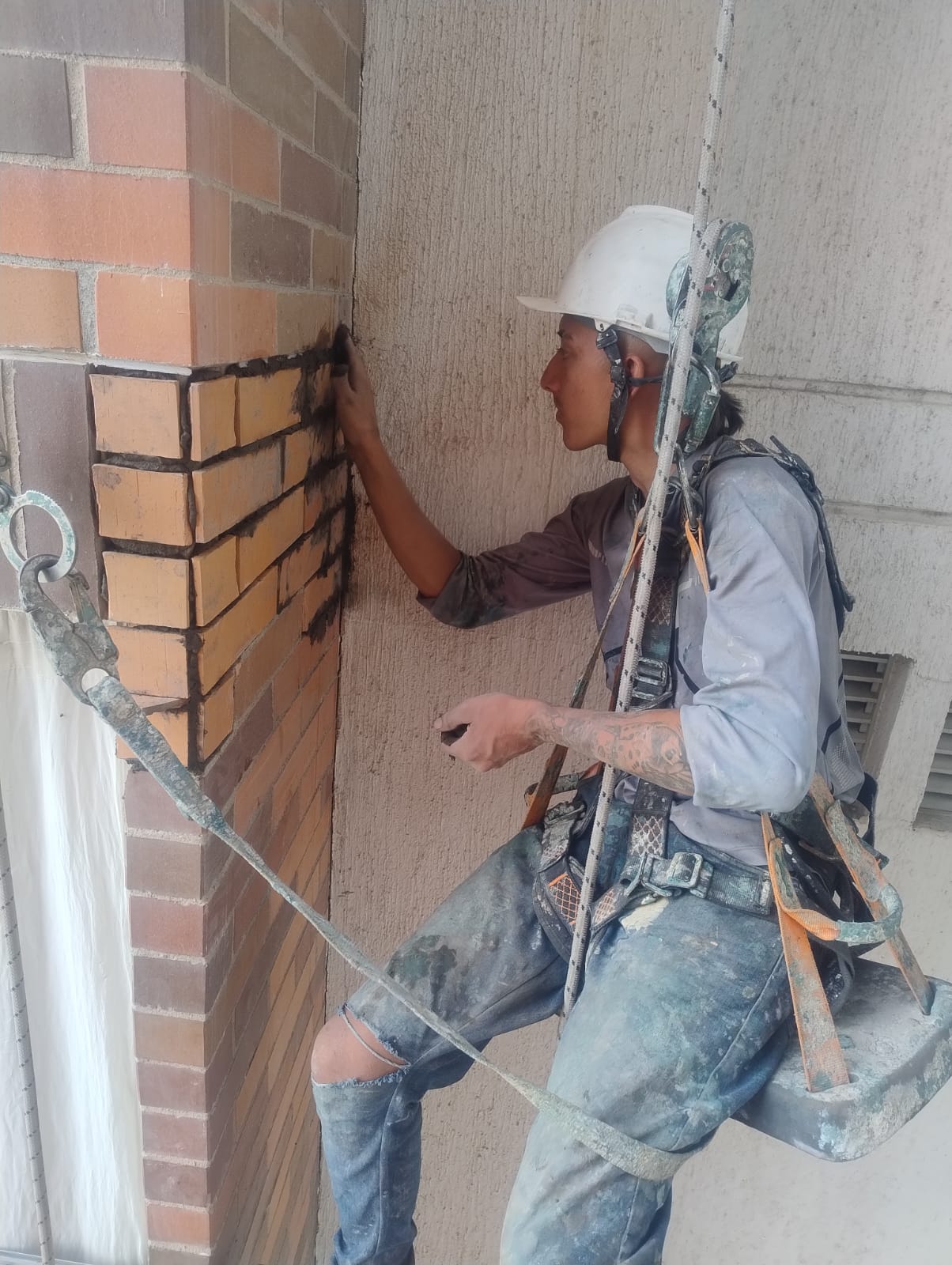 Proyecto BASARI Ingeniería