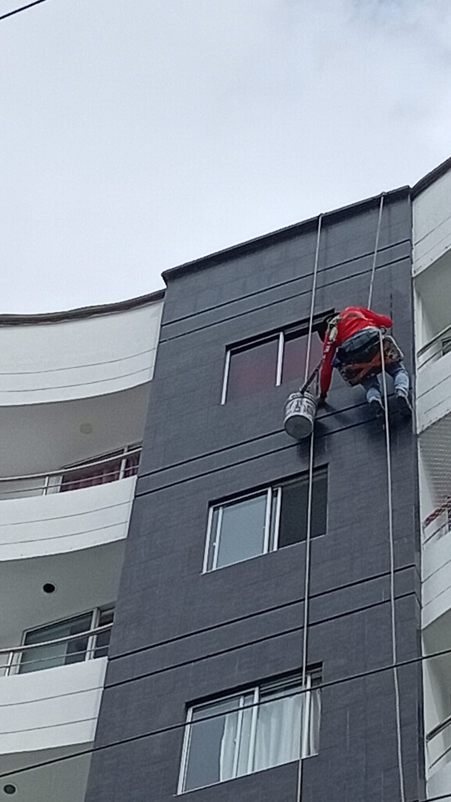 Proyecto BASARI Ingeniería
