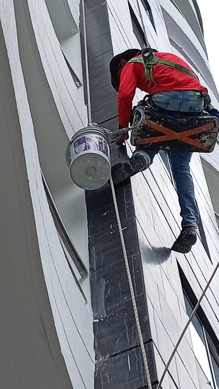 Proyecto BASARI Ingeniería