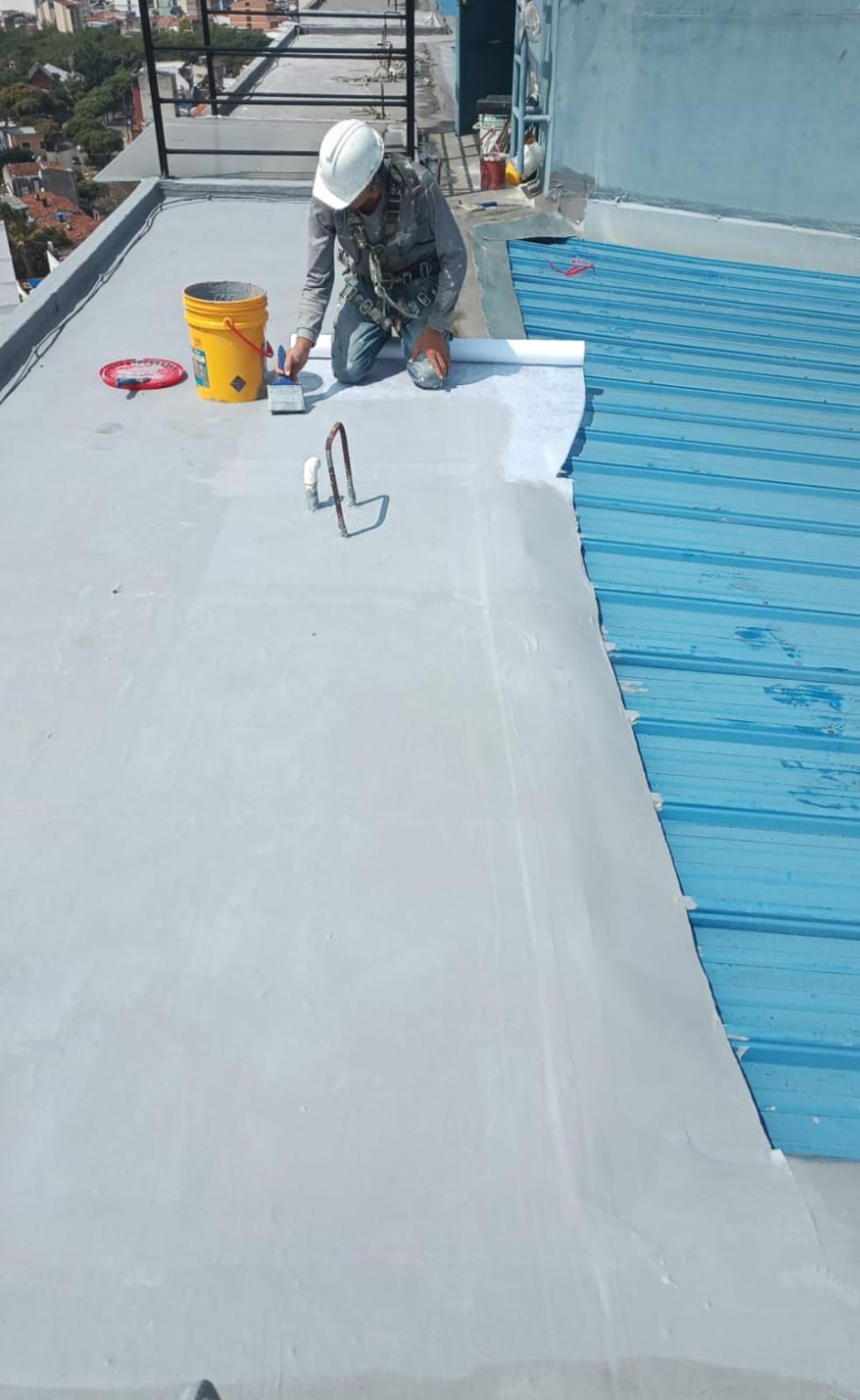 Proyecto BASARI Ingeniería